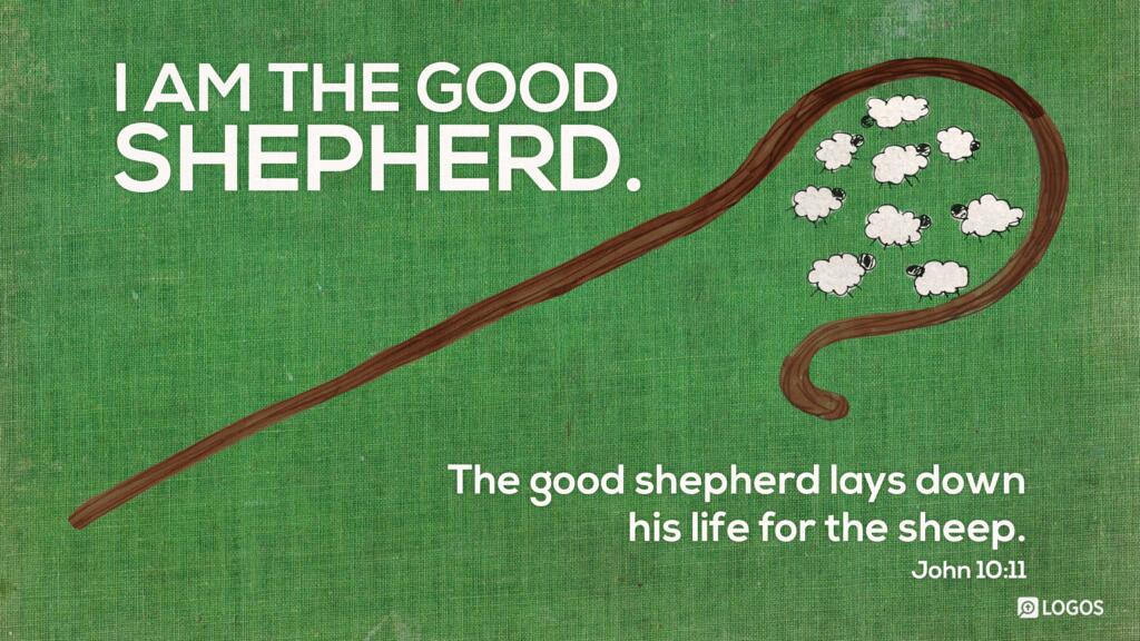John 10:11: I am the good shepherd. The good shepherd lays down his life for the sheep.