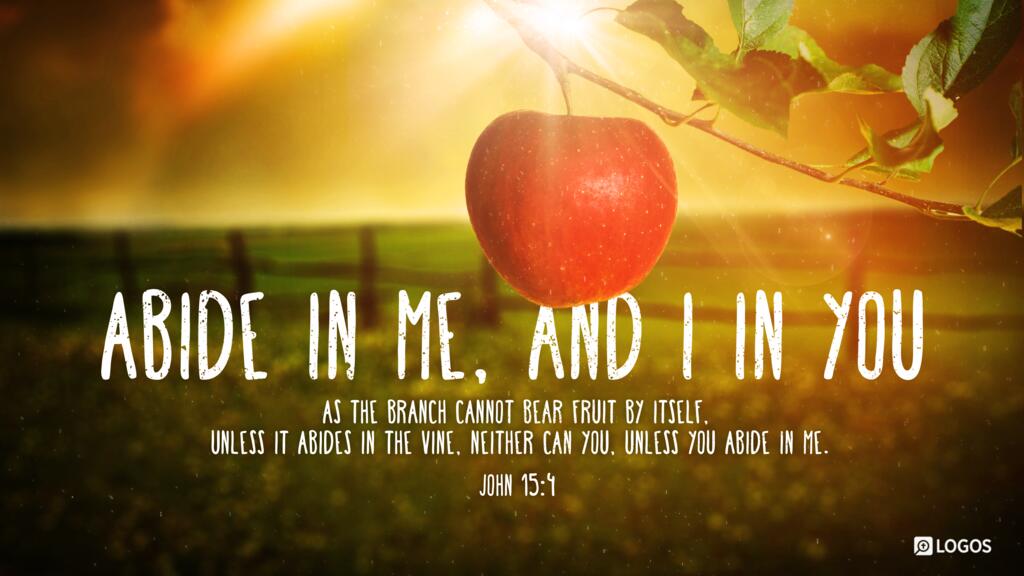 John 15:4: Abide in me, and I in you. As the branch cannot bear fruit by itself, unless it abides in the vine, neither can you, unless you abide in me.