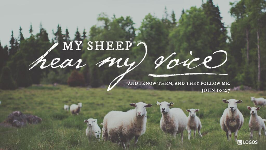 John 10:27: My sheep hear my voice, and I know them, and they follow me.