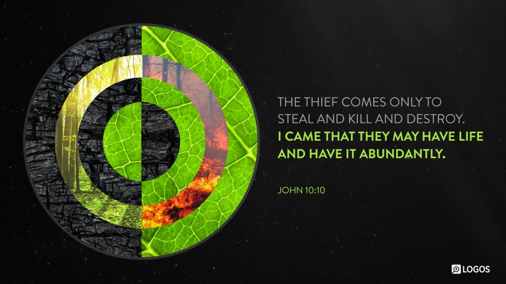 John 10:10: The thief comes only to steal and kill and destroy. I came that they may have life and have it abundantly.