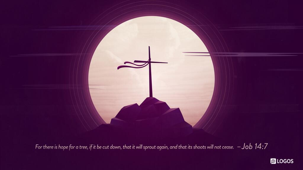 Job 14:7: For there is hope for a tree, if it be cut down, that it will sprout again, and that its shoots will not cease.