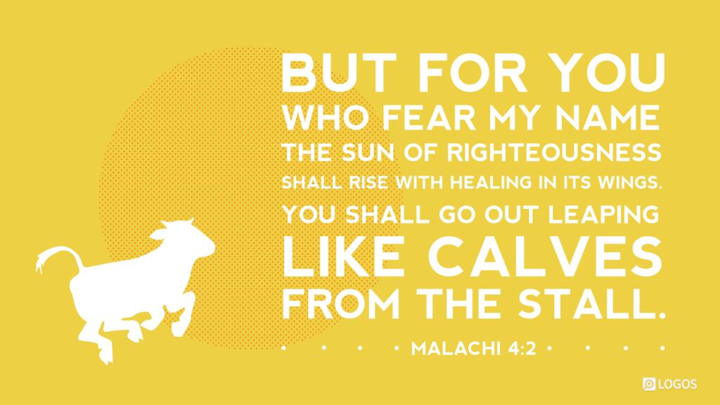 Malachi 4:2: But for you who fear my name, the sun of righteousness shall rise with healing in its wings. You shall go out leaping like calves from the stall.