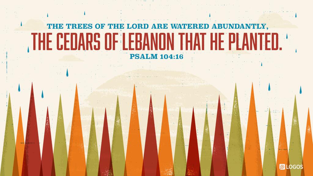 Psalm 104:16: The trees of the LORD are watered abundantly, the cedars of Lebanon that he planted.
