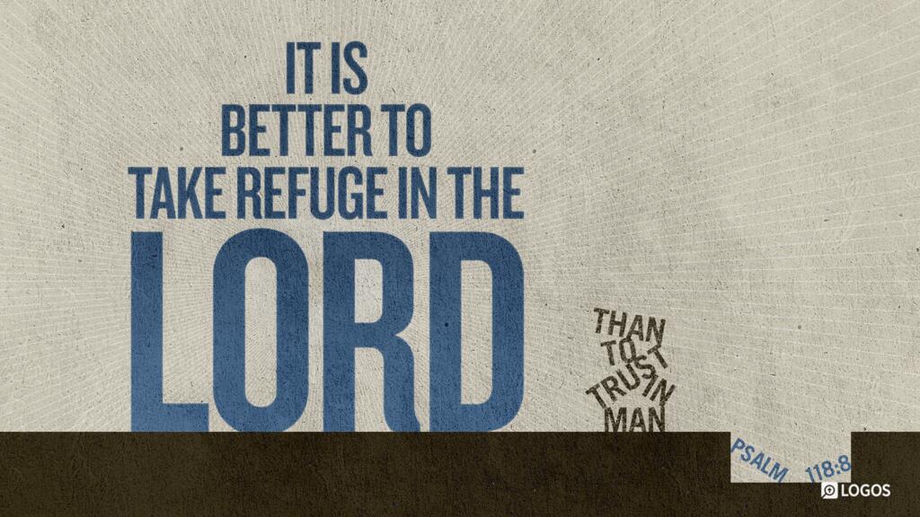 Psalm 118:8: It is better to take refuge in the LORD than to trust in man.