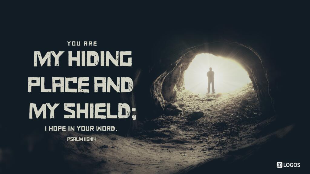 Psalm 119:114: You are my hiding place and my shield; I hope in your word.