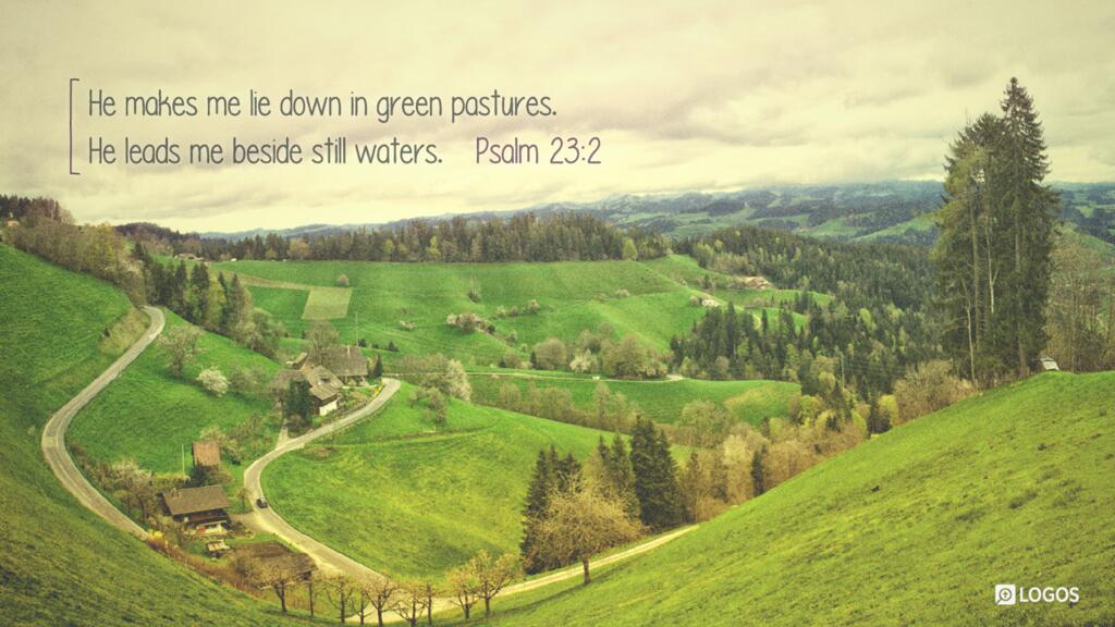 Psalm 23:2: He makes me lie down in green pastures. He leads me beside still waters.
