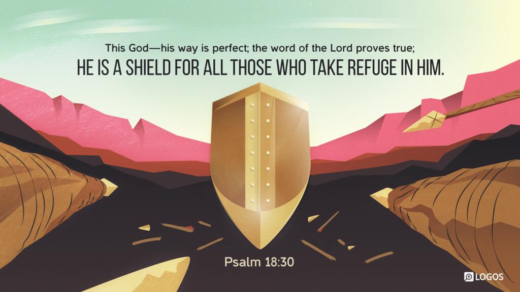 Psalm 18:30: This God—his way is perfect; the word of the Lord proves true; he is a shield for all those who take refuge in him.