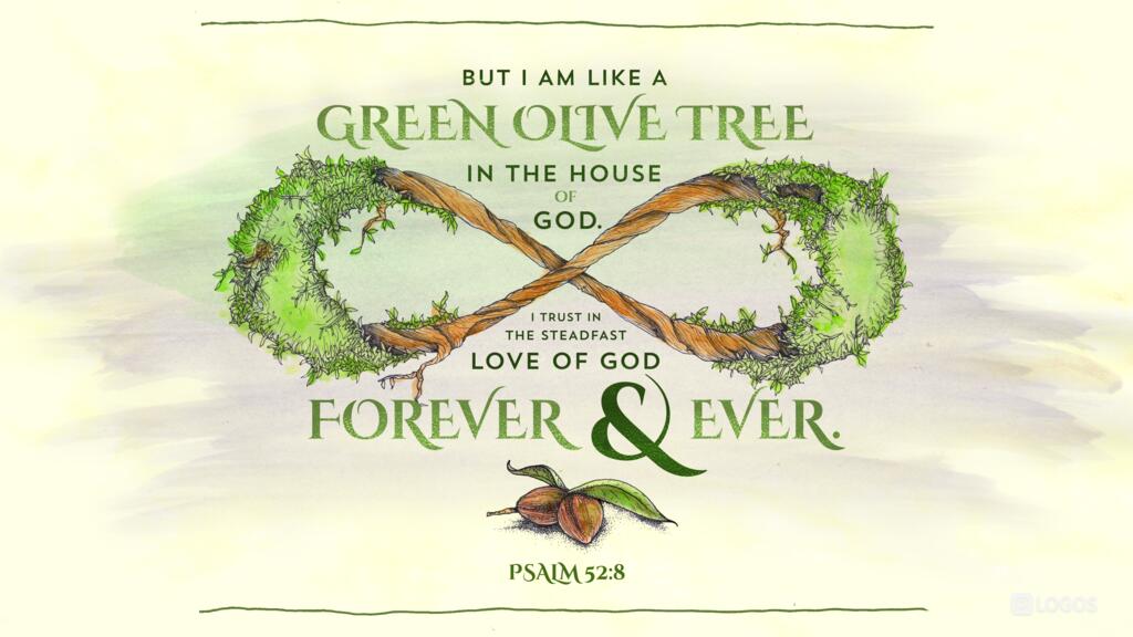 Psalm 52:8: But I am like a green olive tree in the house of God. I trust in the steadfast love of God forever and ever.