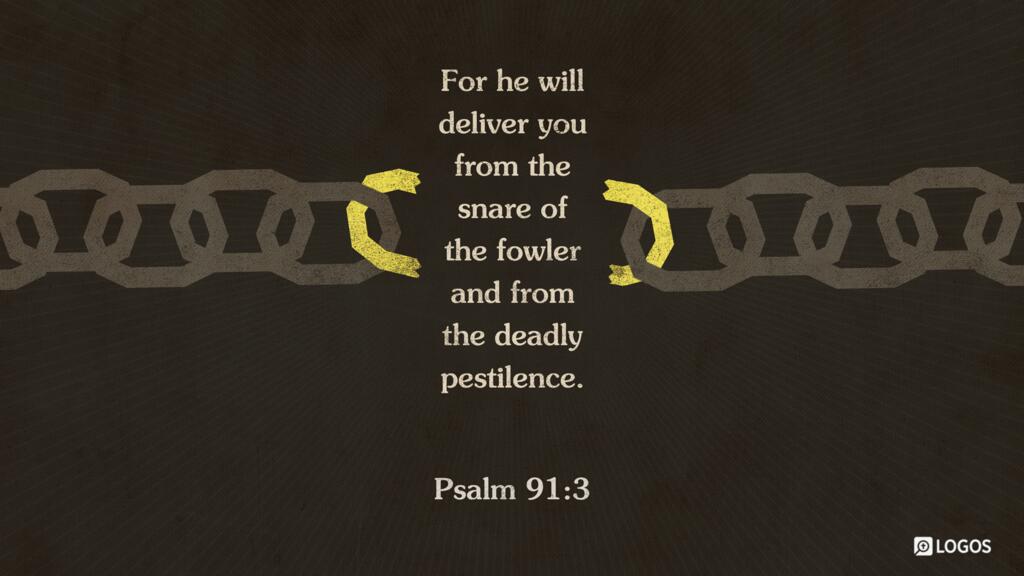 Psalm 91:3: For he will deliver you from the snare of the fowler and from the deadly pestilence.