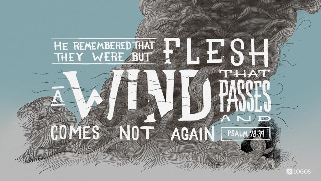 Psalm 78:39: He remembered that they were but flesh, a wind that passes and comes not again.