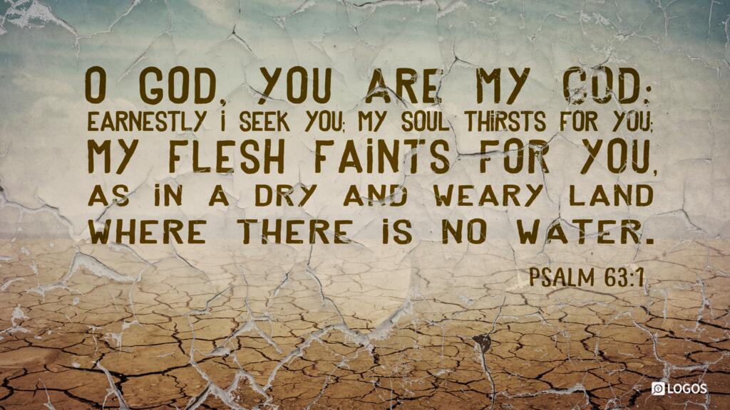 Psalm 63:1: O God, you are my God; earnestly I seek you; my soul thirsts for you; my flesh faints for you, as in a dry and weary land where there is no water.