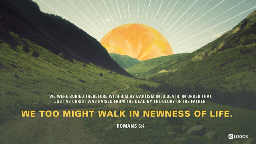 Romans 6:4: We were buried therefore with him by baptism into death, in order that, just as Christ was raised from the dead by the glory of the Father, we too might walk in newness of life.