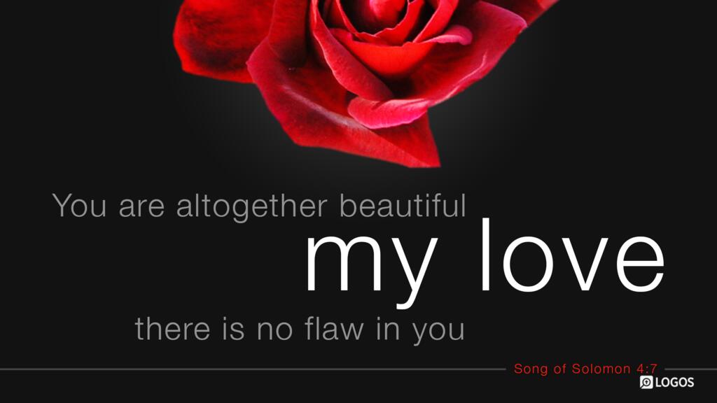 Song of Solomon 4:7: You are altogether beautiful, my love; there is no flaw in you.