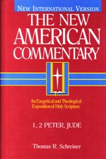 Thomas R. Schreiner, New American Commentary (NAC), B&H, 2003, 497 pp.