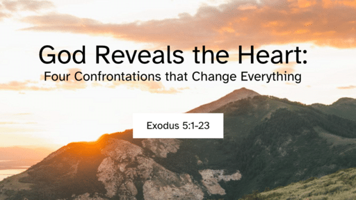 God Reveals the Heart