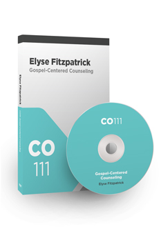 VIDEO-ONLY: CO111 Gospel-Centered Counseling (DVD)