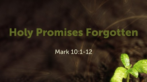 Holy Promises Forgotten