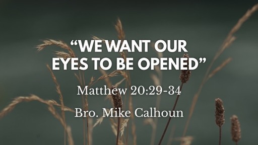 We Want Our Eyes To Be Opened - Matt 20:29-34