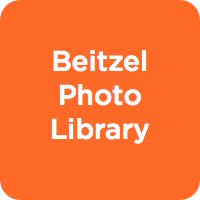 Beitzel Photo Library