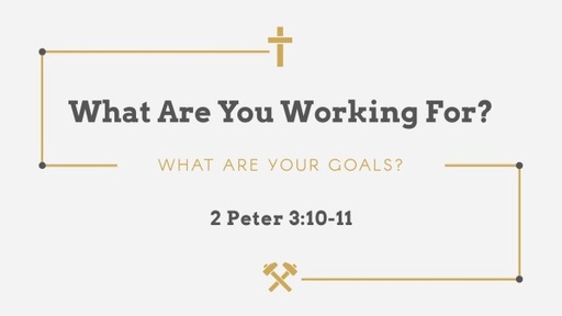 What Are You Working For?