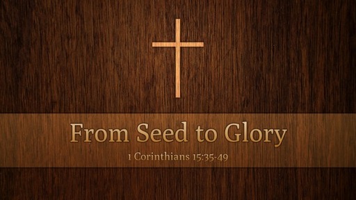 From Seed to Glory