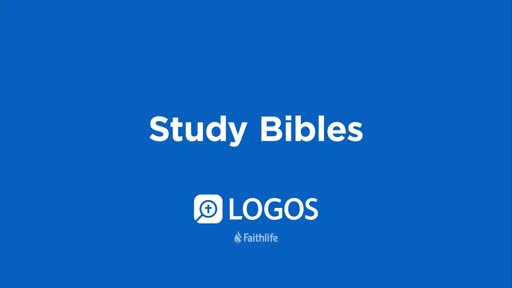 Study Bibles