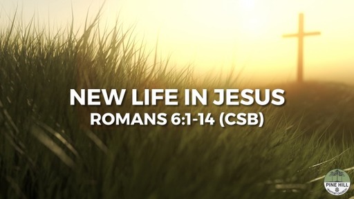 New Life in Jesus