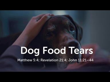 Dog Food Tears