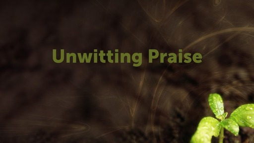 Unwitting Praise