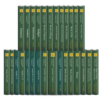International Critical Commentary Old Testament (ICC) (28 vols.)