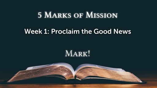 The 5 Marks of Mission