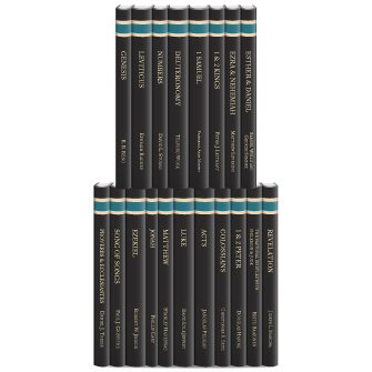 Brazos Theological Commentary on the Bible (19 vols.)