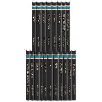 Brazos Theological Commentary On The Bible 19 Vols - 