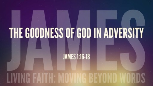 (005 James) The Goodness of God in Adversity