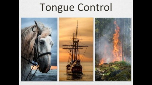Tongue Control