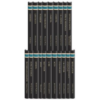Brazos Theological Commentary on the Bible (20 vols.)
