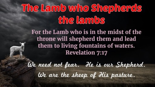 The Lamb in the Book #13