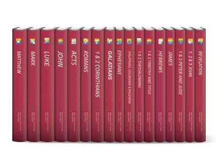 The Life Application Bible Commentary (17 vols.)