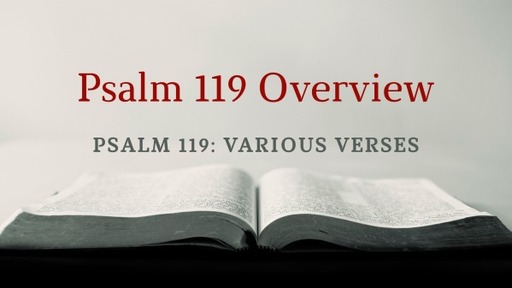 Psalm 119 Overview