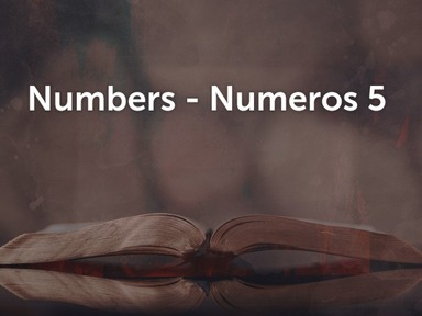 Numbers 5