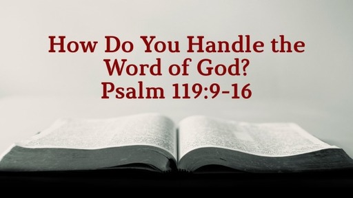 How Do You Handle the Word of God?