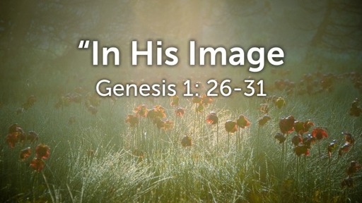 "In His Image"