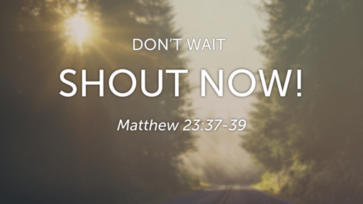 Don't Wait. Shout Now!
