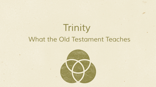 09-06-23 Trinity Introduction