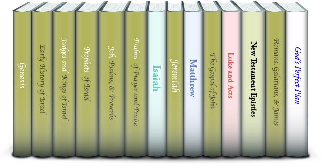 Explorer’s Bible Study: Adult Curriculum (14 courses)