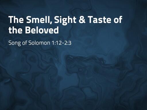 The Smell, Sight & Taste of the Beloved - Pastor David Kanski