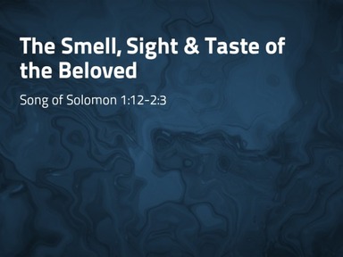 The Smell, Sight & Taste of the Beloved - Pastor David Kanski