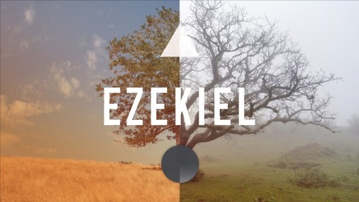 The Bible Series Ezekiel