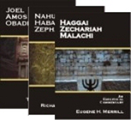 Minor Prophets Combo (3 vols.)