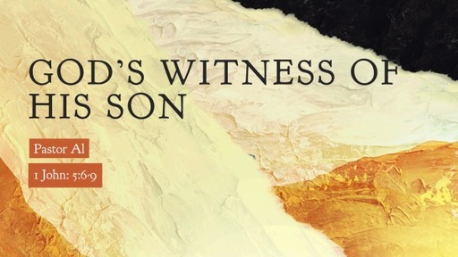 God's Witness of His Son